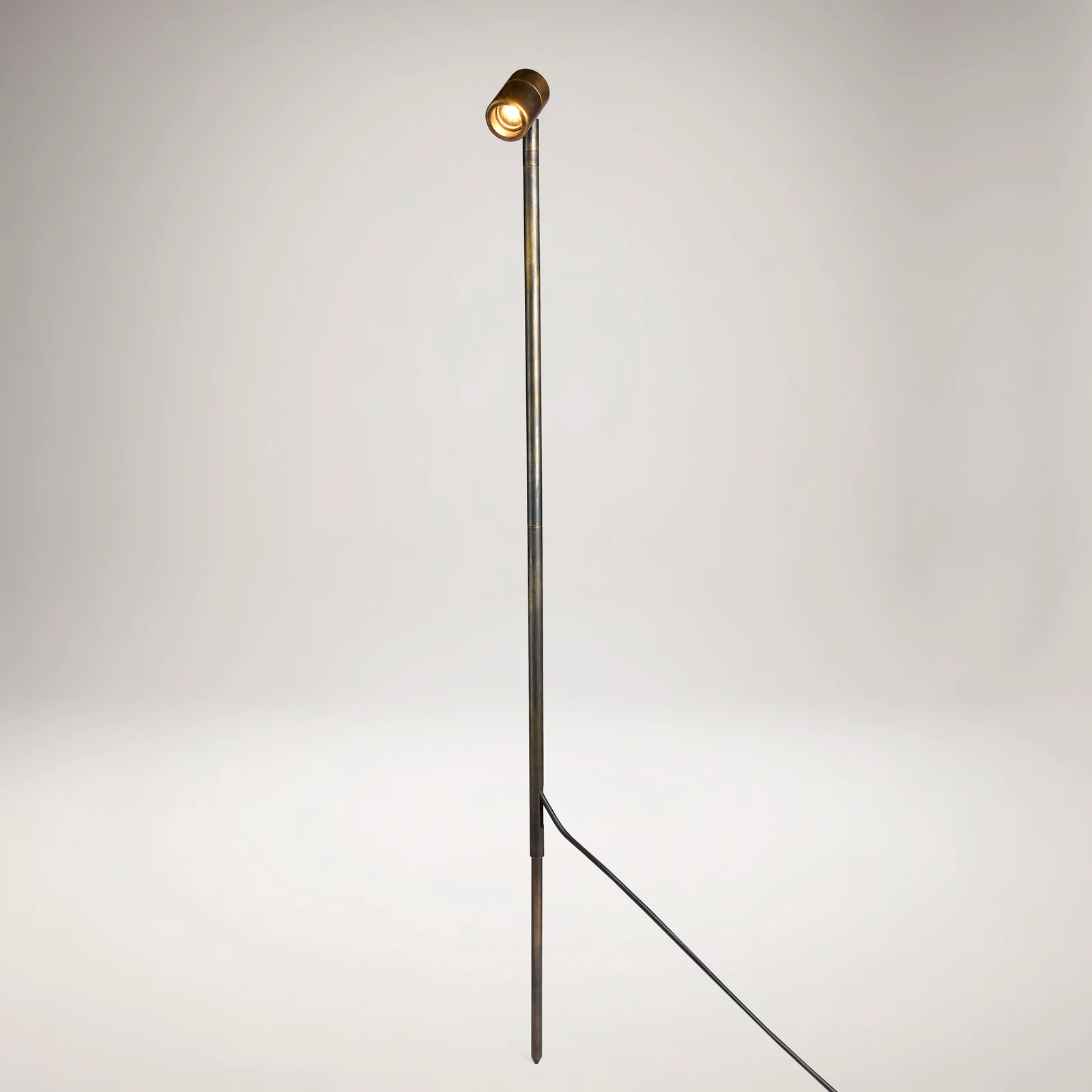 Noctule - product photo